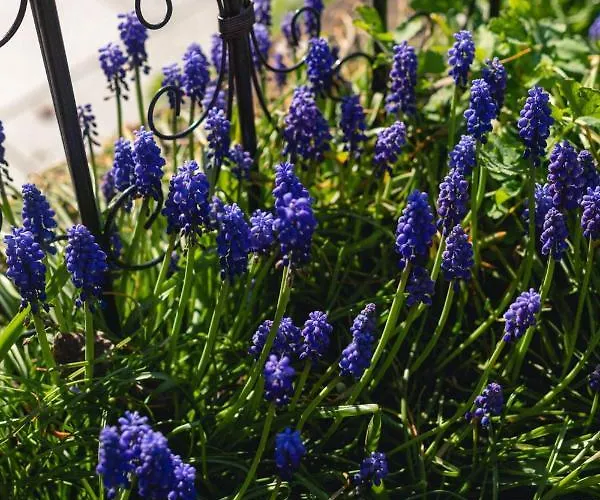 Apartment Kurviertel Iv