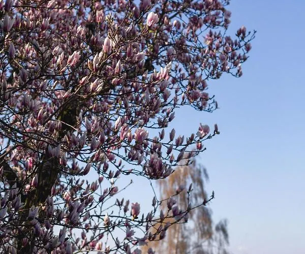 Apartment Kurviertel Iv *